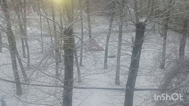 Декабрь 2025г Пермь