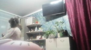 Алиска киска