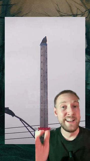 что ты такое