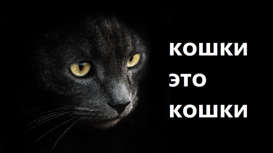 Запрещення психология : кошки это Кошки