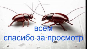 6.12.2025 2 забег