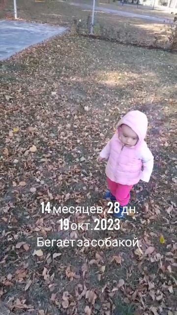 14 мес.,28 дн.За собакой бегает.(19 окт.2023).mp4