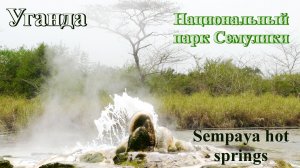 Национальный парк Семулики. Уганда.