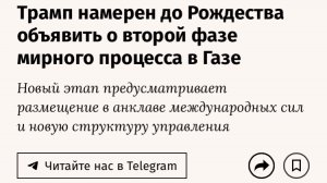 🇪🇬🇵🇸 Дорога в Газу = Восхищение! 🕊️