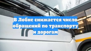 В Лобне снижается число обращений по транспорту и дорогам