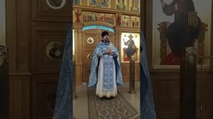 Введение во храм Пресвятой Богородицы. О скорбях в духовной жизни. Проповедь о. Андрея. 4.12.25
