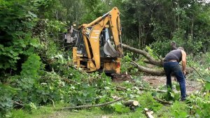 Уехали в деревню. 52 сотки - Расчищаем заросли и раширяем двор.