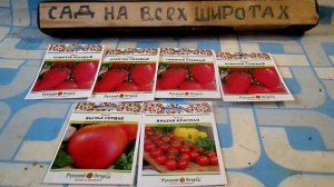 ОБЗОР на ТРИ СОРТА СЕМЯН ТОМАТОВ НА 2026 год