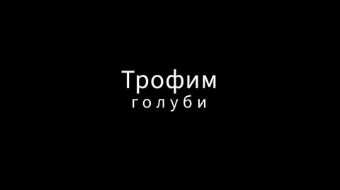 Сергей Трофимов - Голуби (кавер)