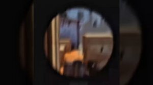 Пятый S1mple эдит