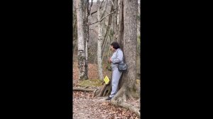 Дольмены и водопады