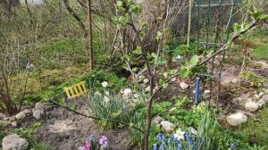 13-ДАЧА .подгоревшая рассада и шикарная редиска Жара..1 часть(14.05.-16.05.21.)