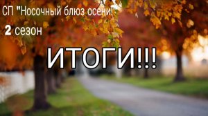 СП "Носочный блюз осени", 2 сезон. ИТОГИ!!! 11 пар носочков!!!