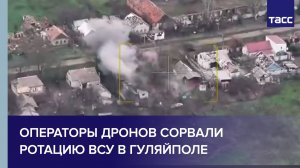 Операторы дронов сорвали ротацию ВСУ в Гуляйполе