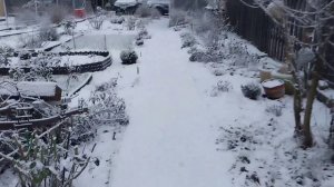 Зима пришла. //Жарим рыбу//Топим баню.