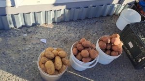 N°3. Стихийный рынок.  Ремонт кирпичной печи.  Из города в деревню.