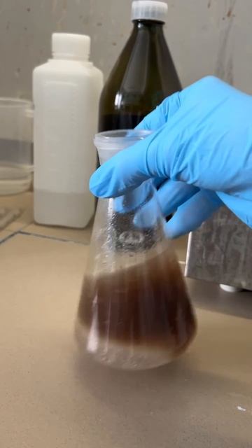 Испытания печенья. (il-mskts.ru) — Дата Размещения — 07.02.2026