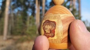 Шкатулка в декабрьском лесу на сосне