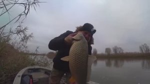 РЫБАЛКА НА САЗАНА. ДОНКА И ЧЕРВЬ, А РЫБА ЖДЕТ ЗИМУ !