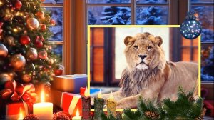 Скоро Новый год! А вы уже нарядили  ёлку?