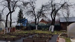 Приехали на Дачу 29.11.25