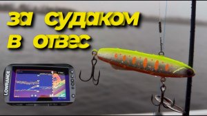 СКРЫТАЯ ПРАВДА о ловле судака в отвес! 🤫 ЭТОГО вам НИКТО не расскажет…