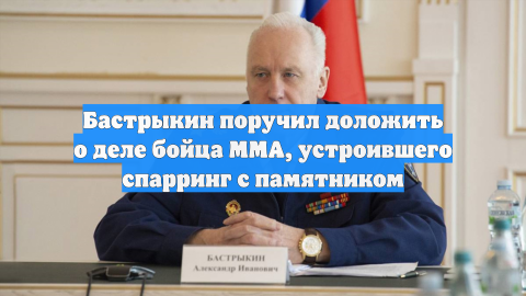Бастрыкин поручил доложить о деле бойца ММА, устроившего спарринг с памятником