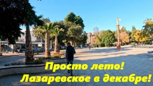 Просто лето!!!! Лазаревское в декабре!