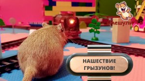 ДЕТСКАЯ ЖЕЛЕЗНАЯ ДОРОГА, НАШЕСТВИЕ ХОМЯКОВ-ПЕСЧАНОК!