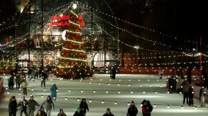 Москвичей и гостей столицы пригласили в городские усадьбы на новогодние праздники