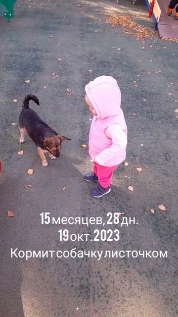 14 мес.,28 дн.Кормит собачку листочком (19 окт.2023).mp4