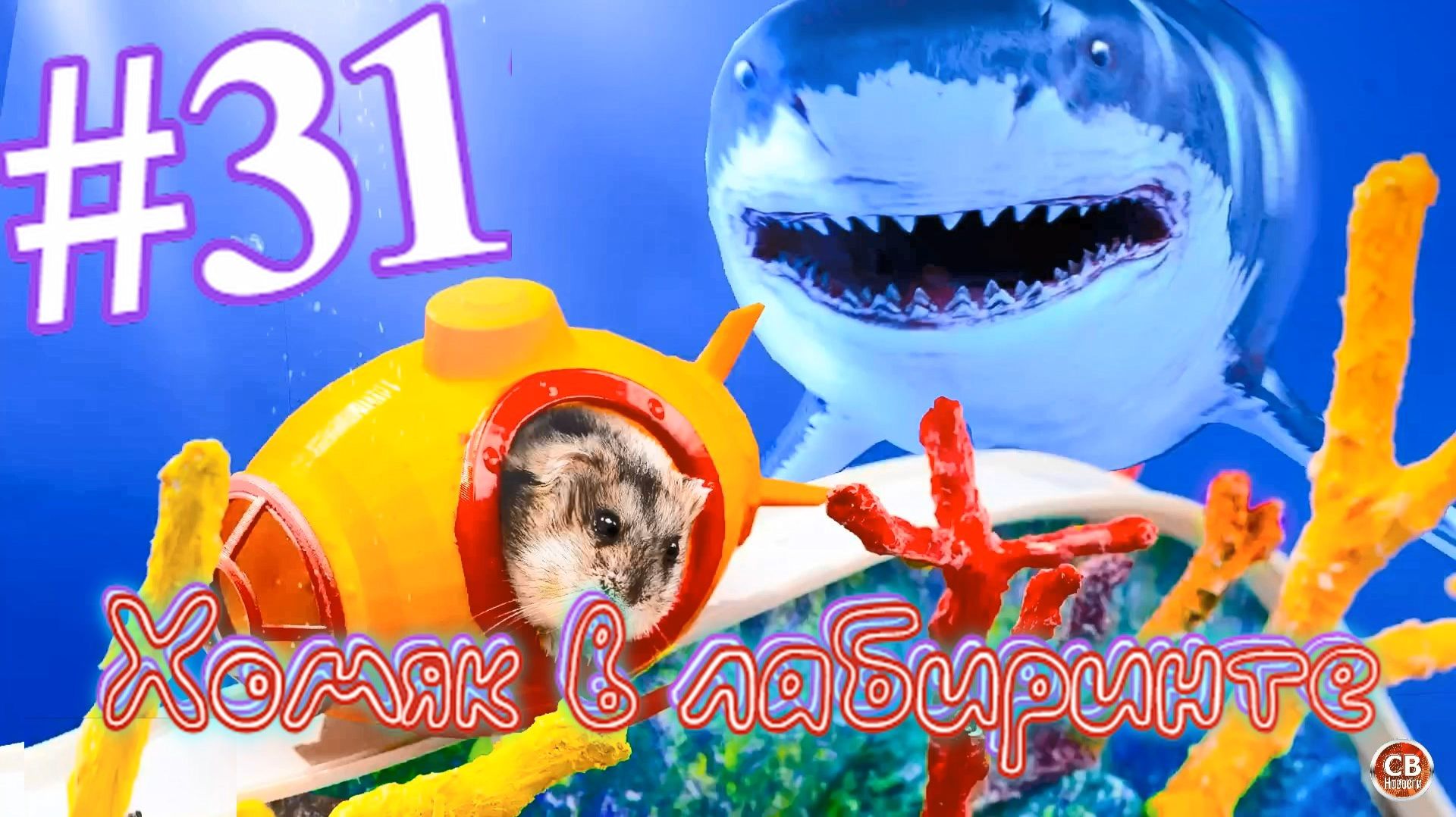 Хомяк в лабиринте (31 серия)