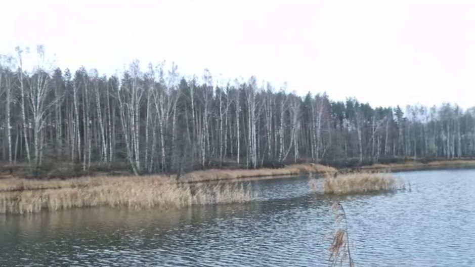 УБРАЛАСЬ В ПРИХОЖЕЙ, А ЛЁШИК ПРОГУЛЯЛСЯ НА БЕРЕГ ОЗЕРА.