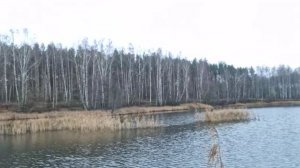 УБРАЛАСЬ В ПРИХОЖЕЙ, А ЛЁШИК ПРОГУЛЯЛСЯ НА БЕРЕГ ОЗЕРА.