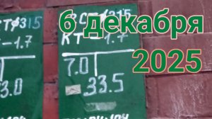 6 декабря 2025. Сходили за раскладушкой.