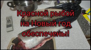 Много форели и икры на Новый год!🐟
