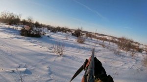 охота на зайца матерый русак