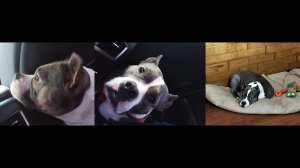 выполнЯю задания