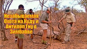 Незабываемая Охота на Куду и Антилоп Гну в Зимбабве