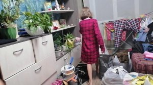 Алиска киска