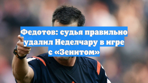 Федотов: судья правильно удалил Неделчару в игре с «Зенитом»
