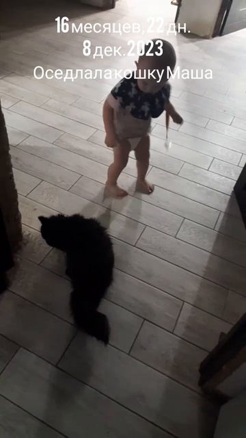 16 мес.,22 дн.Оседлала кошку Маша.(8 дек.2023).mp4
