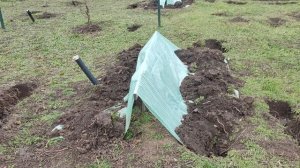 Огород 6 декабря 2025