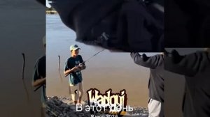 котакбас эдит