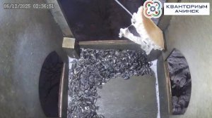 КВАНТОРИУМ АЧИНСК | Прямая трансляция из скворечника