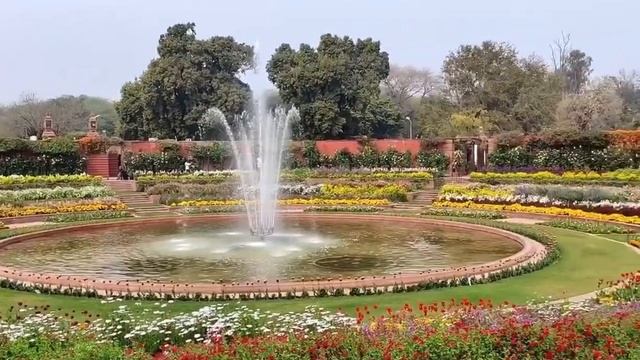 Индия. Нью-Дели. Парк у Президентского дворца. Клумба _Rose Garden _