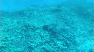 Отдых в Египте. 7 ноября 2025 год