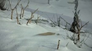 степь ковыльная (прошлое не исчезает)