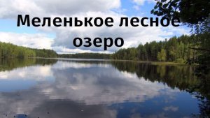 Маленькое лесное озеро