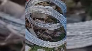 Сводка СВО с 29-го ноября по 5-е декабря